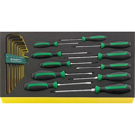Stahlwille Tools DRALL+ set of screwdrivers i.TCS inlay No.TCS WT 4622-4650 -tray20-pcs. 96830122